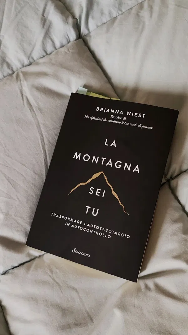 The Mountain Is You by Brianna