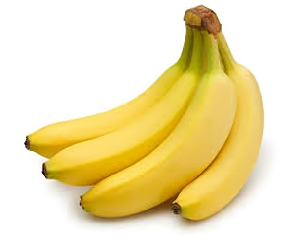 সাগর কলা