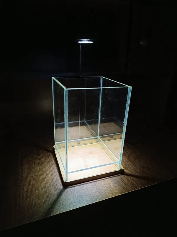 6/6/9 ADA style cristal glass