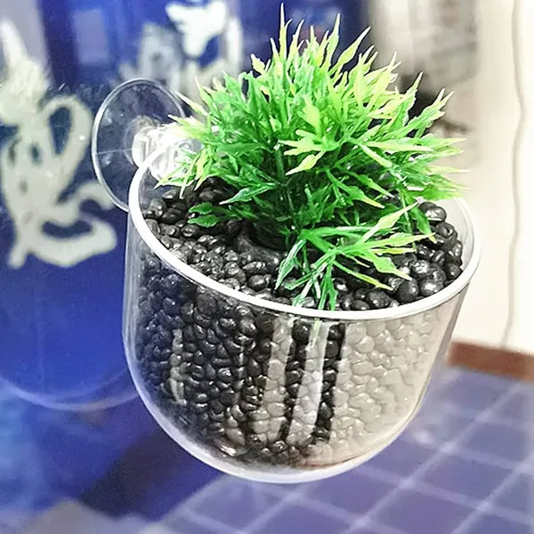 Acrylic glass cup for plants