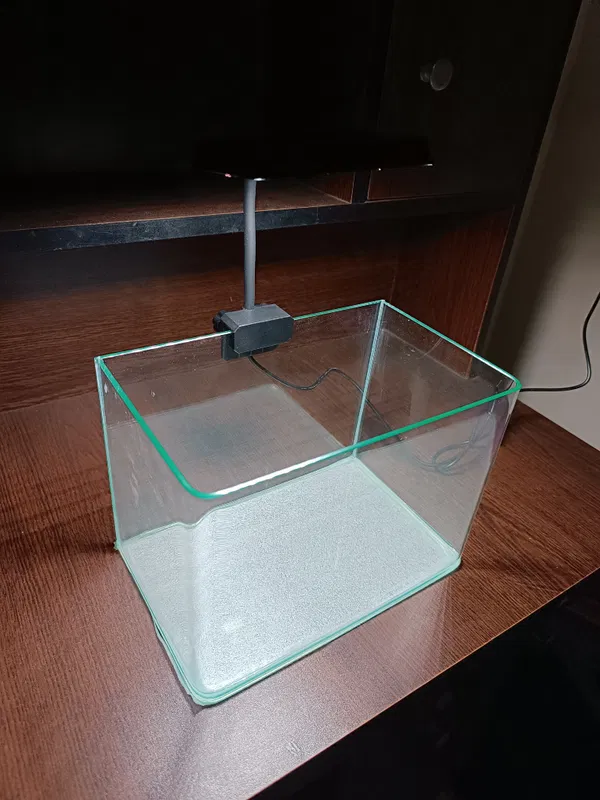 Curved glass fish tank (10x6x7)