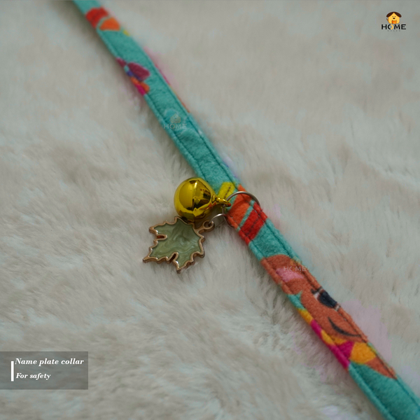 Collar collection