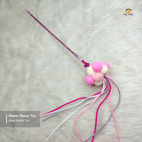 Teaser toy