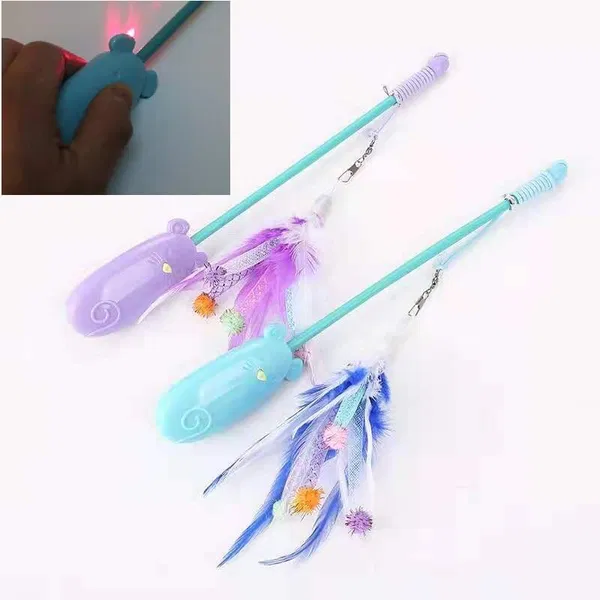 Laser teaser toy