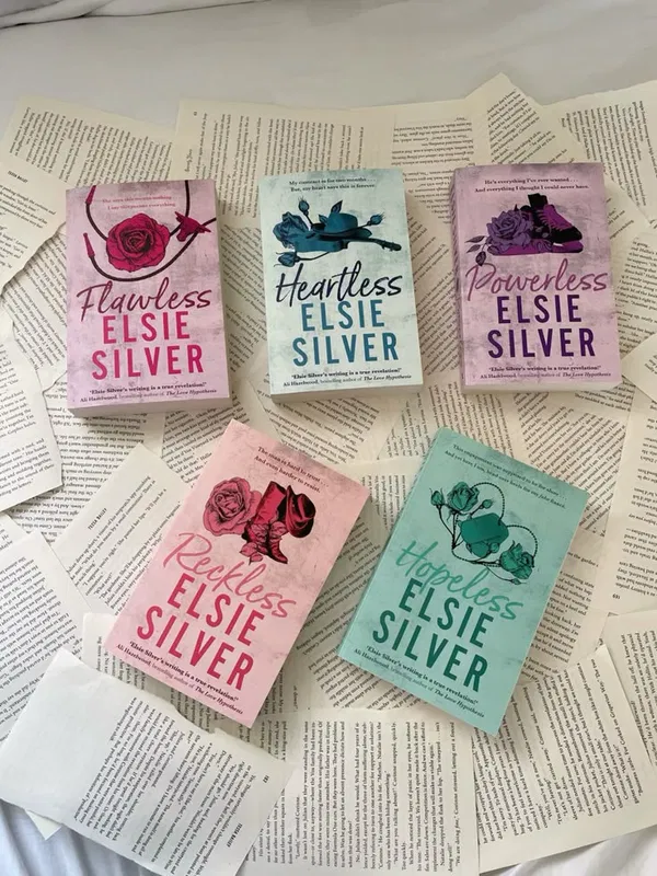 Chestnut Springs Series(5 Books) by Elsie Silver