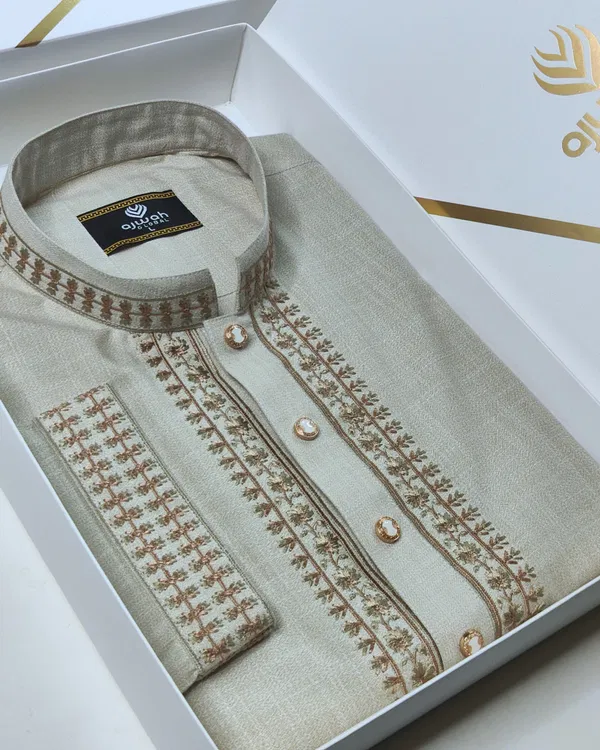 Regal Breeze Embroidery Panjabi -A3C101