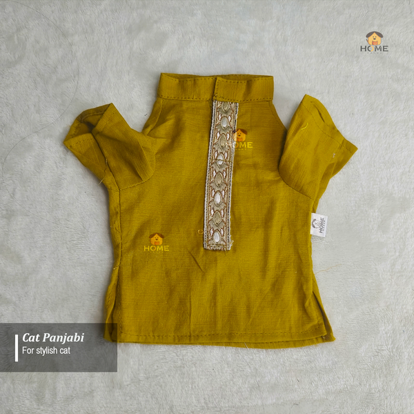 3 kg cat panjabi