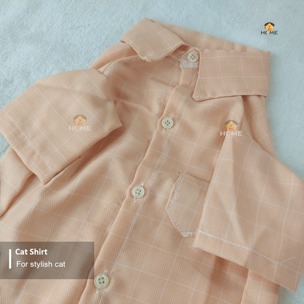 3.5 kg cat shirt