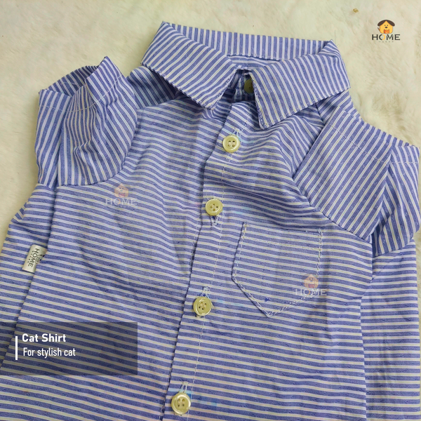 3.5 kg cat shirt