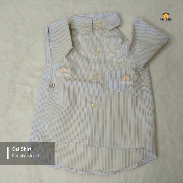 3.5 kg cat shirt
