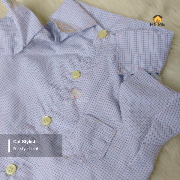 3 kg cat shirt