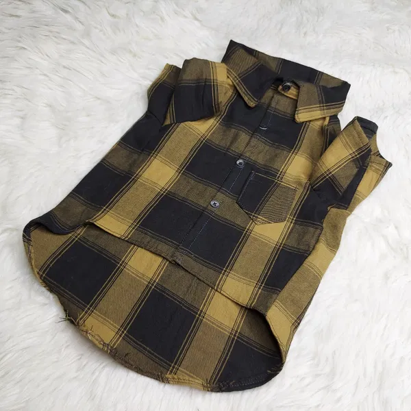 2.3 kg cat shirt