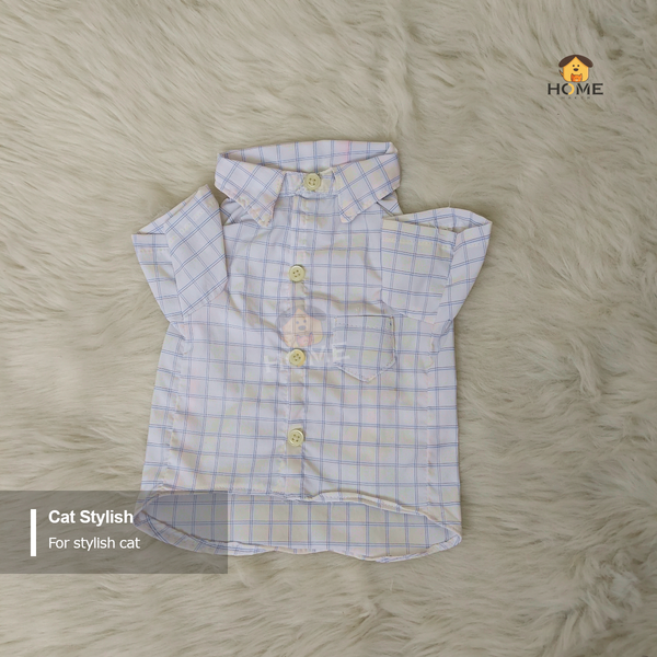 4 kg cat shirt