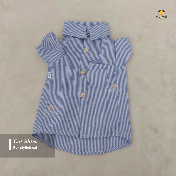 4 kg cat shirt