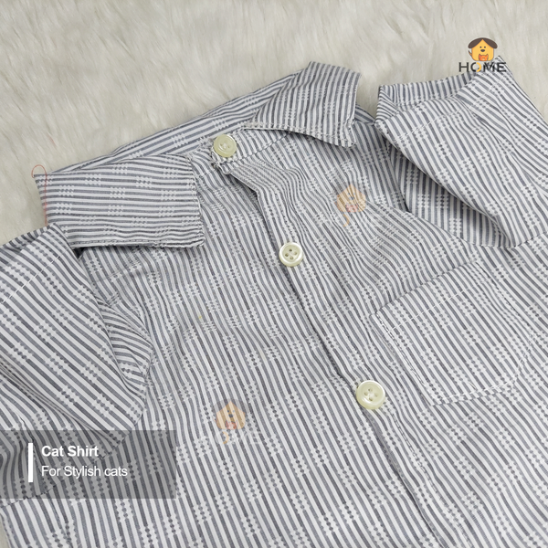 2 kg cat shirt