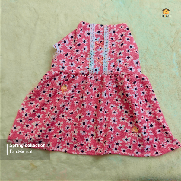 3 kg cat frock