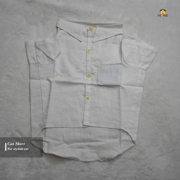 4kg cat shirt