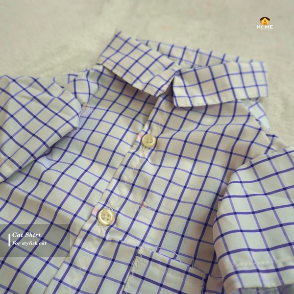 5 kg cat shirt