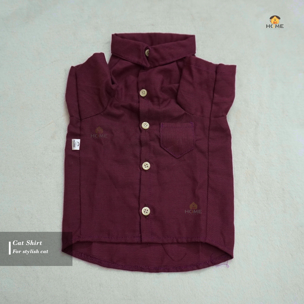 3 kg cat shirt