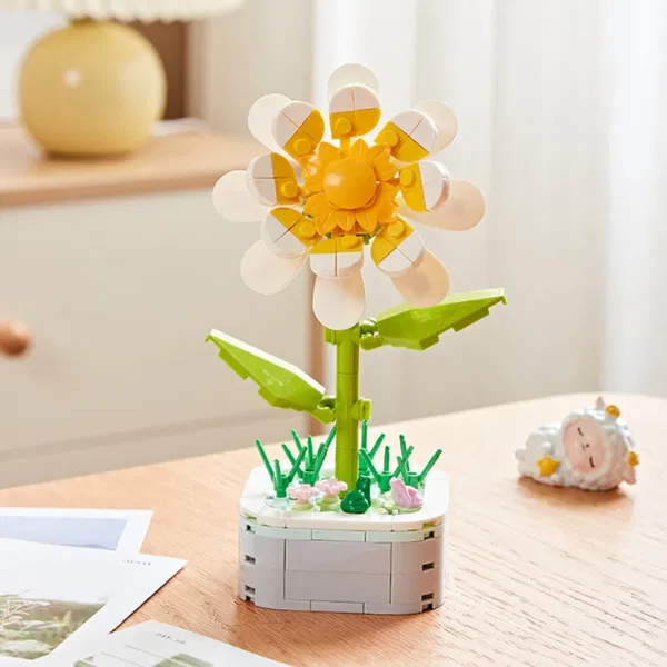 Daisy Potted Plants