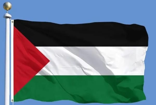 Palestine National Flag