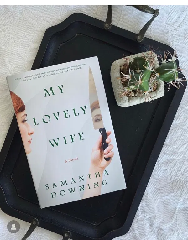 My Lovely Wife by Samantha Downing