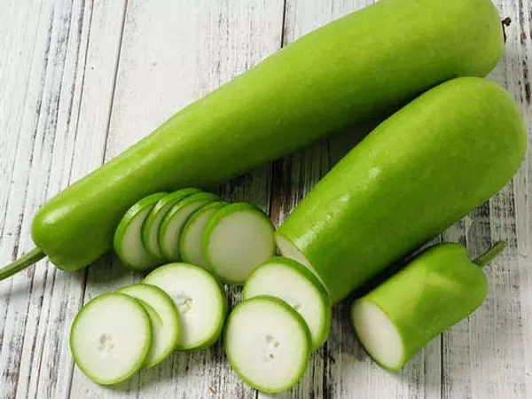 হাইব্রিড লাউ বীজ "সিল সিলা" / Hybrid Gourd Seed "Sil Sila"
