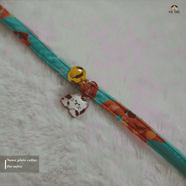 Collar collection