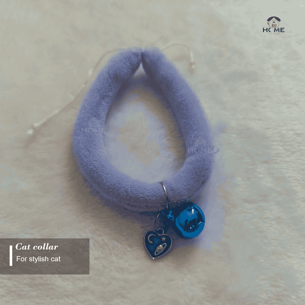 kitten collar