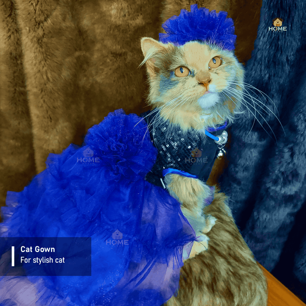 1.7 kg Cat frock
