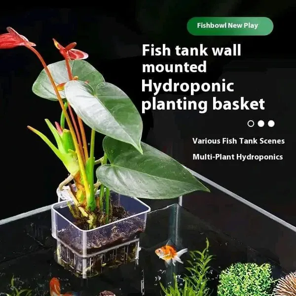 acrylic plant holder