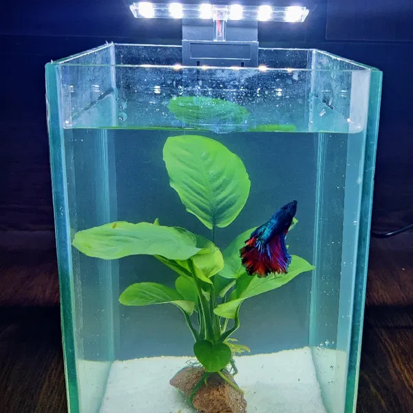 X3 Aquarium led light