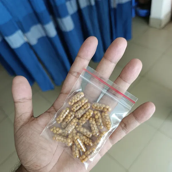 osmocote capsule (10 piece pack)