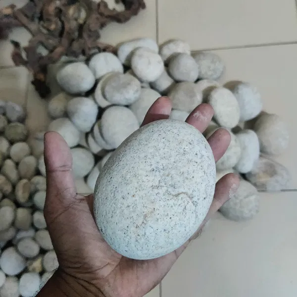 River stone large size ( per piece)