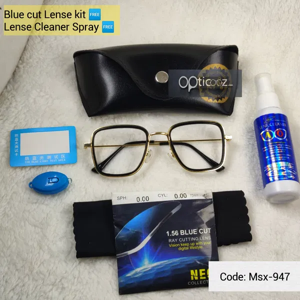 Metal Stylish BlueCut Eyewear