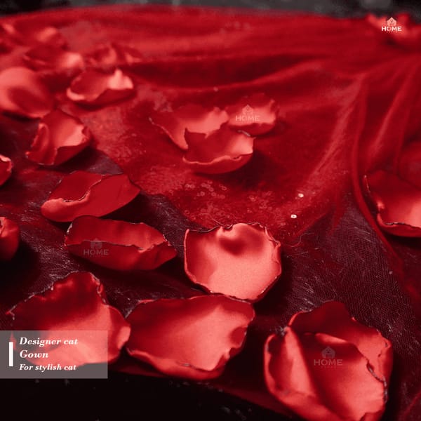 Customise dress collection (Not ready product)