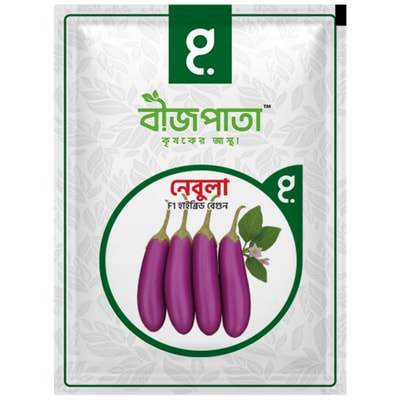 নেবুলা এফ১ হাইব্রিড বেগুন বীজ৷ Nebula F1 Hybrid Brinjal Seeds_img_0