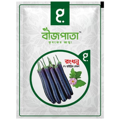 রংধনু বেগুন বীজ Rongdhonu Brinjal / Eggplant Seed_img_0