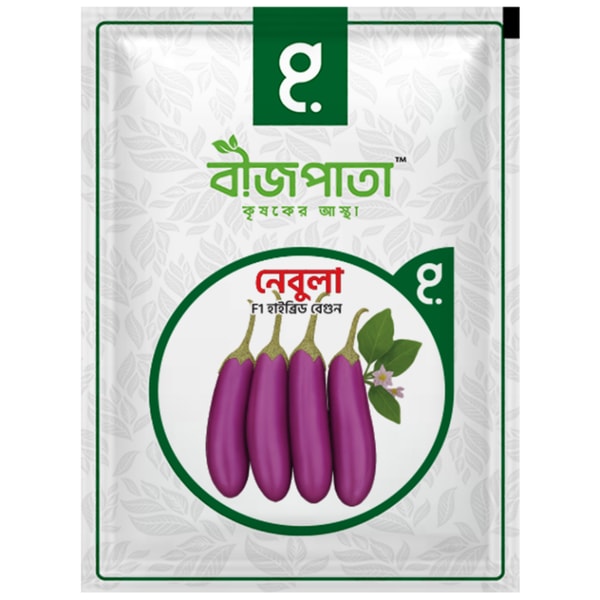 নেবুলা এফ১ হাইব্রিড বেগুন বীজ৷ Nebula F1 Hybrid Brinjal Seeds