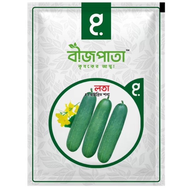 লতা শসা বীজ Lota Cucumber Seed
