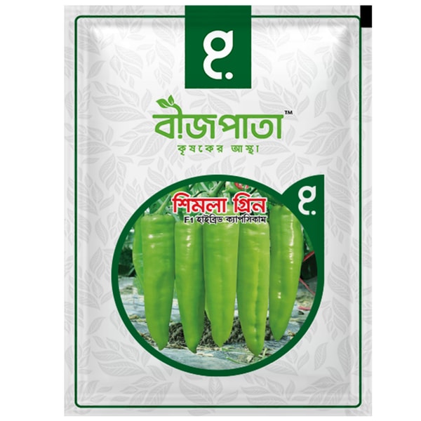 শিমলা গ্রিন সুইট পেপার ক্যাপসিকাম বীজ Shimla Green Capsicum / Sweet Pepper Seed