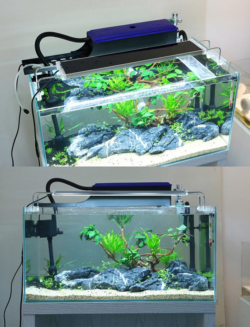 SunSun js 600 top filter_img_2