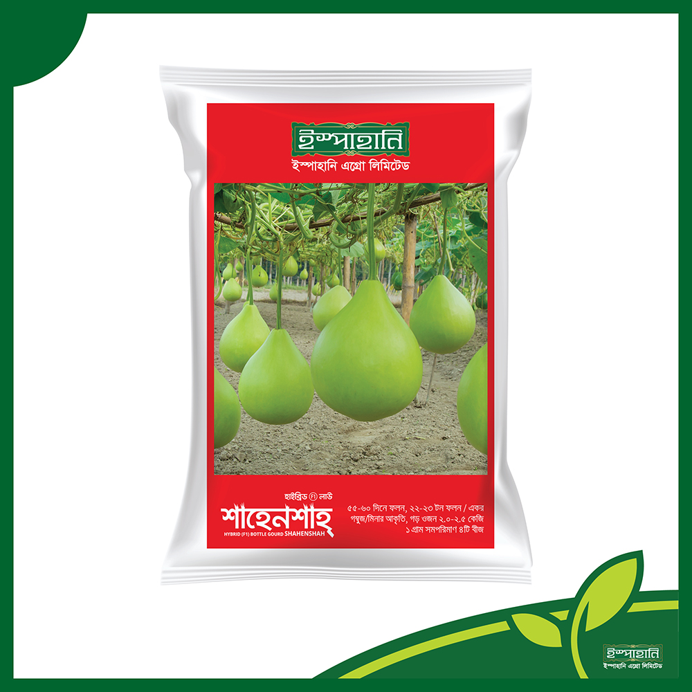 হাইব্রিড গোল লাউ বীজ শাহেনশাহ । F1 Hybrid Gourd Seeds Shahenshah_img_0