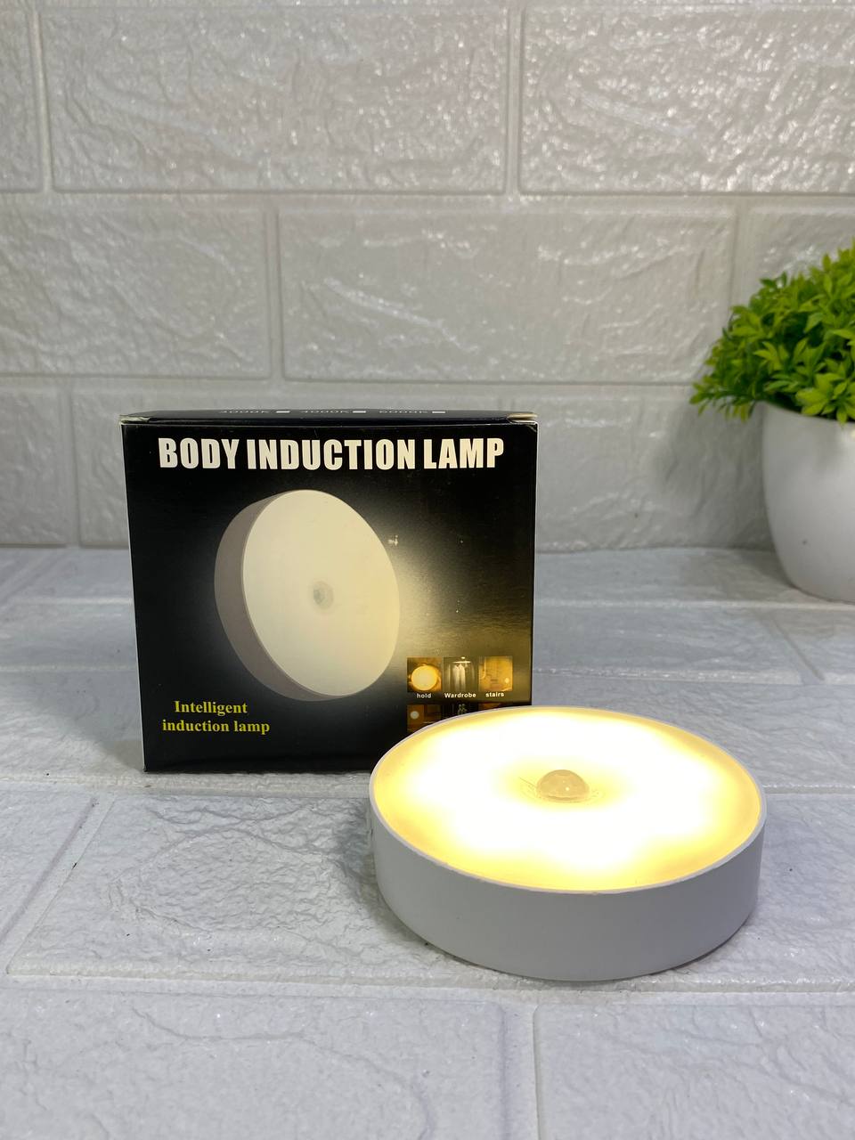 Motion Sensor Light_img_1