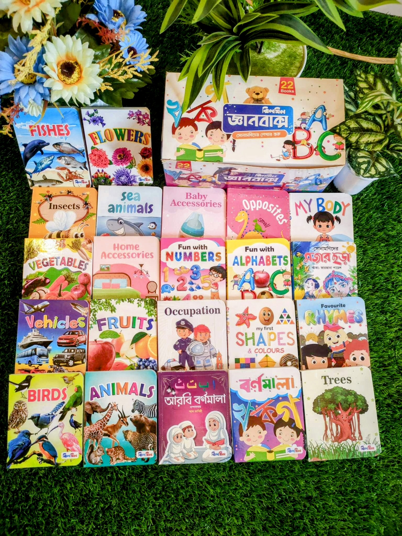 ঝিলমিল জ্ঞানবাক্স ( ২২ পিস বই )