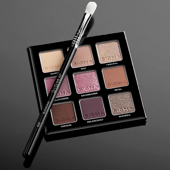 SIGMA – Blending Brush (E25)_img_3