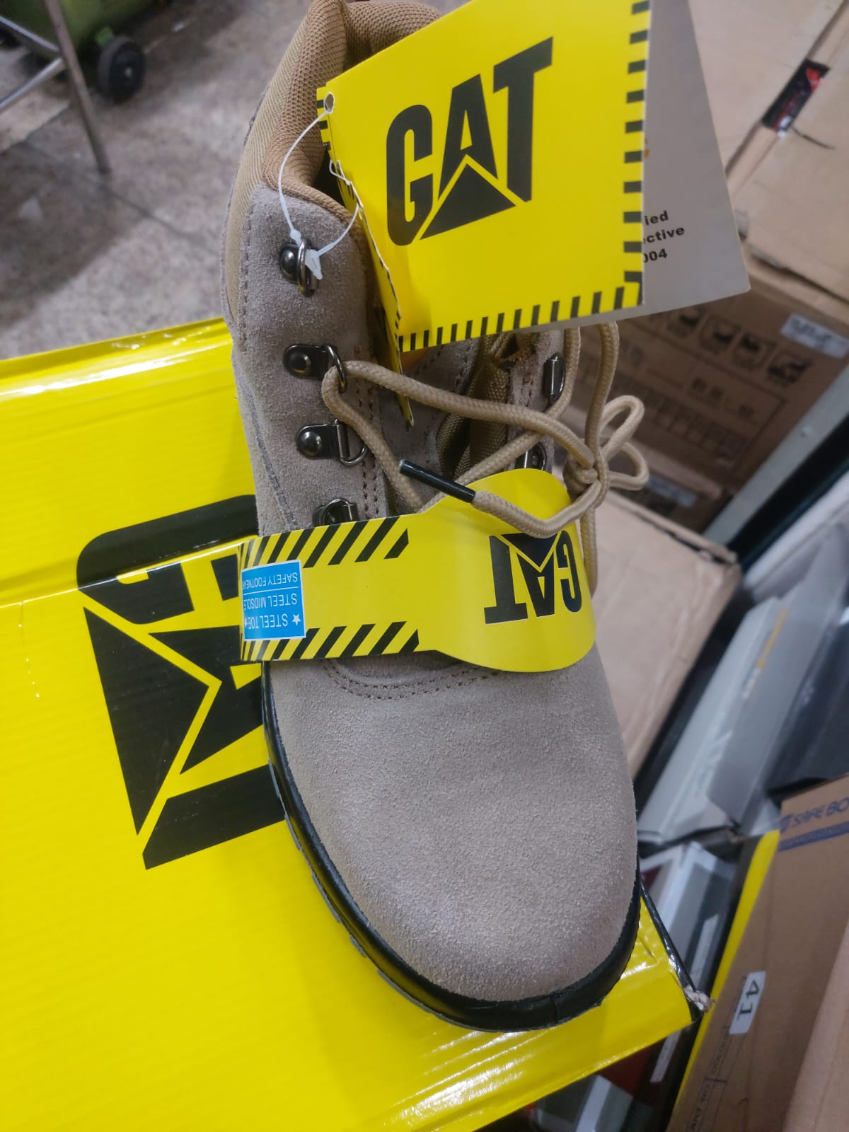 Safety Shoe Cat_img_0