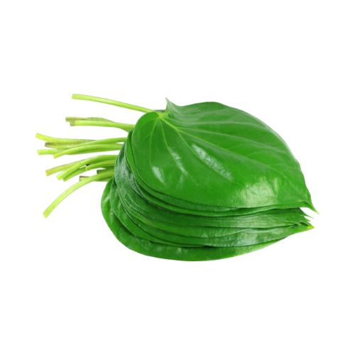 Betel Leaf (Bangla Paan) 20Pcs বাংলা পান_img_0