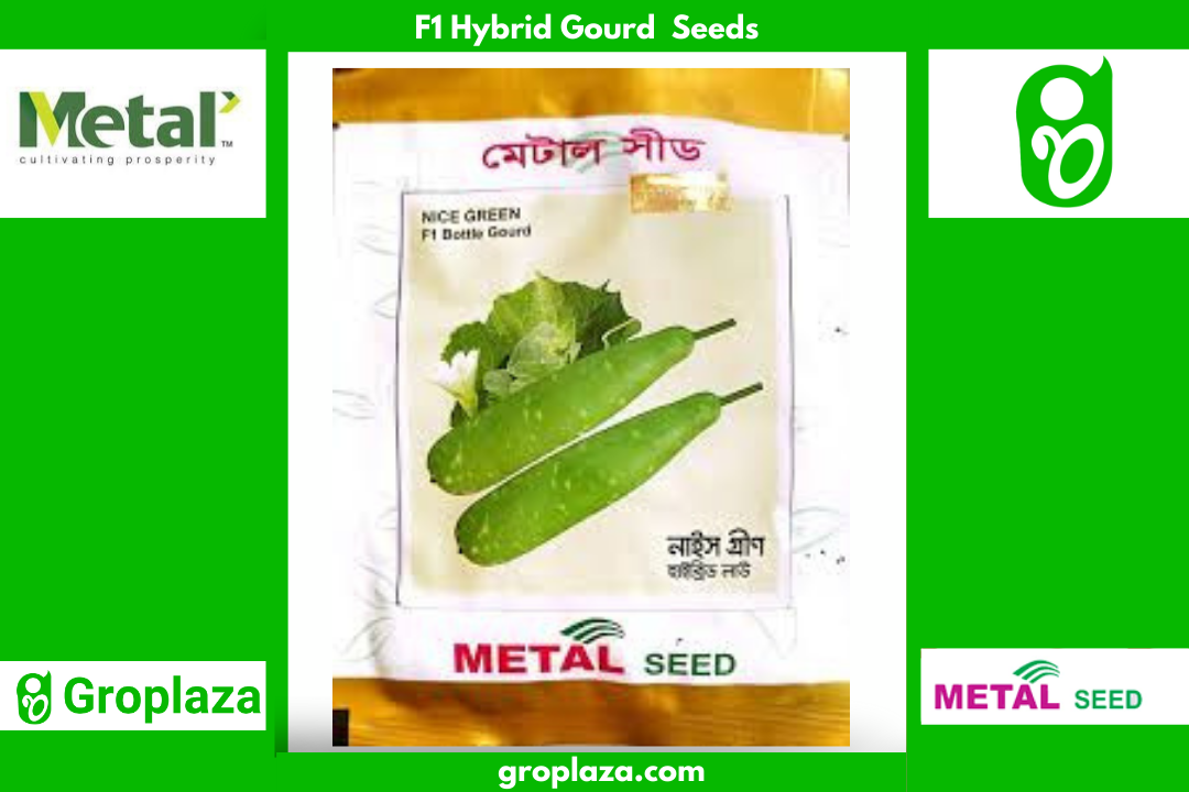 হাইব্রিড লাউ বীজ নাইস  গ্ৰীন। F1 Hybrid Gourd Seeds Nice Green_img_0