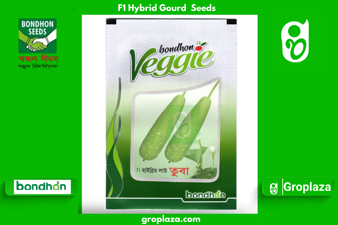 হাইব্রিড লাউ বীজ তুবা । F1 Hybrid Gourd Seeds Tuba_img_0